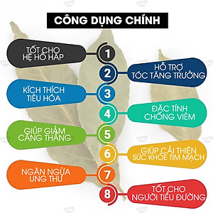 Tinh Dầu Nguyệt Quế Kobi Bay Leaf Essential Oil Giúp Đuổi Muỗi, Khử Mùi, Làm Thơm Phòng