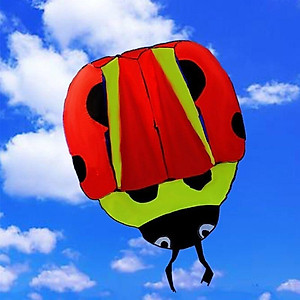 Diều khí động học cá voi - TẶNG tay cầm thả diều 150 mét dây + túi đựng diều (diều giá rẻ, diều thả, diều sỉ lẻ)