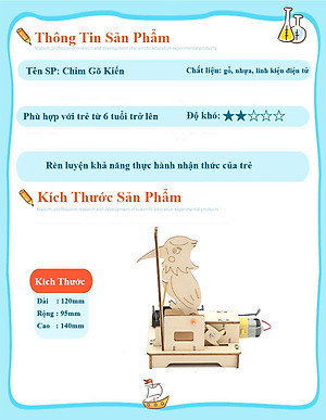 Bộ Đồ Chơi Lắp Ghép STEM Mô Hình Chim Gõ Kiến, Bộ Đồ Chơi Khoa Học Tự Làm Chim Gõ Kiến, Bộ Đồ Chơi Gỗ Cao Cấp Khoa Học Tự Làm DIY Wood Steam - Chính Hãng BABYBOSS.