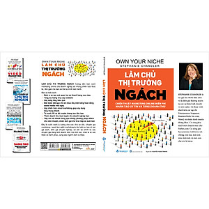 Sách Làm Chủ Thị Trường Ngách - Tái Bản