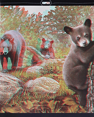 Sách Di Chuyển Và Di Cư