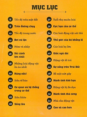 Sách Infomania - Các Kỷ Lục, Top 10 Và Những Thông Tin Kỳ Thú Khác