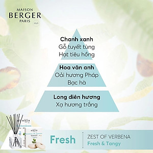 Maison Berger - Tinh dầu đèn xông hương Zest of Verbena