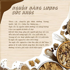 Cordy Multi Grain Bữa ăn dinh dưỡng Trùng thảo Vị Matcha - Thiên Sư. Quản lý cân nặng eo thon gọn dáng, da sáng dáng xinh