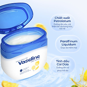 Sáp dưỡng môi Vaseline Dân Khang dưỡng ẩm giảm tình trạng môi khô nứt nẻ
