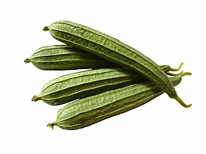 Hạt giống mướp khía Thái Lan F1 giống nảy mầm khỏe trái sai VTS128