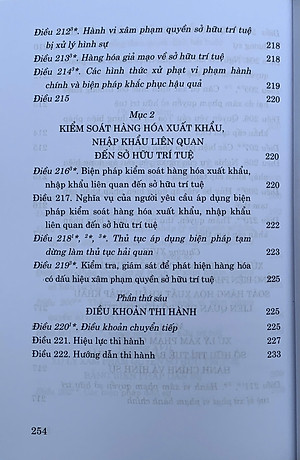 Luật sở hữu trí tuệ năm 2005 (sửa đổi, bổ sung năm 2009, 2019, 2022, 2025)