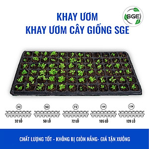 Khay Gieo Hạt/ Khay Ươm Cây Giống GT. Cho Năng Suất Cao, Cây Nhanh Lớn, Cây Con Khỏe, Dễ Sinh Trưởng. Thương Hiệu SGE