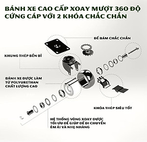 Đế Kê Chậu Cây Có Bánh Xe ANKAN, R30cm Làm Giá Đỡ Kệ Hoa Cây Cảnh, Màu Vàng Nắng, Chịu Tải 150Kg