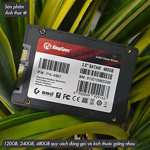 Ổ cứng SSD KingSpec 240GB / P4-240 đã gồm Windows 10 - Hàng Chính Hãng
