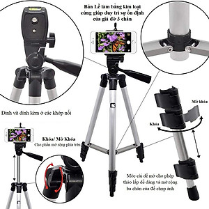 Giá Đỡ Quay Phim 3 Chân Máy Chụp Ảnh Tripod Tặng Kèm Miếng Kẹp Điện Thoại Gậy 3 Chân Livestream, Quay Tiktok, Chụp Ảnh - Hàng Chính Hãng Amalife