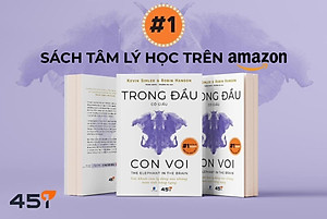 Sách - Trong Đầu Có Giấu Con Voi - Tuệ Tri