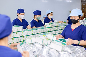 Giá Sỉ 10 Hộp Trà Lá Ổi Mychi Giam Cân Tan Mỡ Ngừa mỡ máu tiểu đường