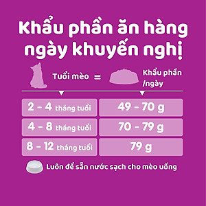 Đồ Ăn Cho Mèo Con Whiskas Vị Cá Biển Và Sữa Dạng Túi 1.1 Kg