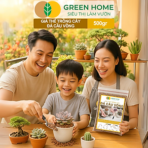 Đá Cầu Vồng Trồng Sen Đá GreenHome, Bao 500GR, Kích Rễ, Đậm Màu, Thoát Nước Tốt, Trộn Đất, Rải Bề Mặt Đều Tốt