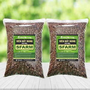 Combo 2 gói viên đất nung (sỏi nhẹ) 5 - 10mm trồng lan, sứ, sen đá, thủy canh Sfarm (5dm3) - Bonsai soil