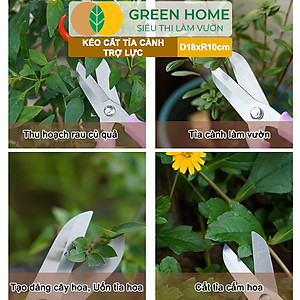 Kéo Cắt Cành GreenHome, D18xr10cm, Dụng Cụ Làm Vườn, Tối Ưu Giảm Lực Tay, Màu Sắc Hiện Đại, Dễ Sử Dụng Cắt Tỉa Hoa