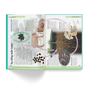 Sách Bách khoa cho trẻ em - Bách khoa khoa học