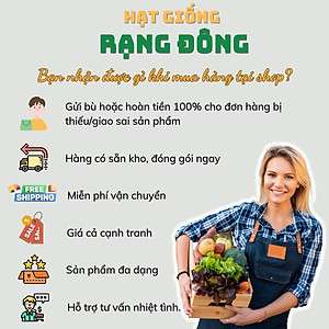 Hạt giống Dưa Hấu Rado 331 (10 hạt) trái to, dài, ruột đỏ, ngọt, kháng sâu bệnh, trồng quanh năm - Hạt giống Rạng Đông