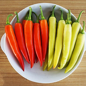 Hạt giống Ớt sừng vàng da bóng trái sai và to đều VTP88