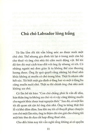 Sách Thành Công Kí Sự Của Kira - Tiền Đẻ Ra Tiền (Tái Bản 2020)