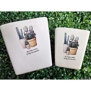 Chậu sứ vuông vát in hình siêu đẹp, trồng cây văn phòng, cây phong thủy, cây để bàn