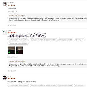 Đèn laze - đèn pin laser 303 chiếu xa hàng kilomet