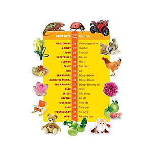 Sách 1000 Từ Tiếng Anh Đầu Tiên