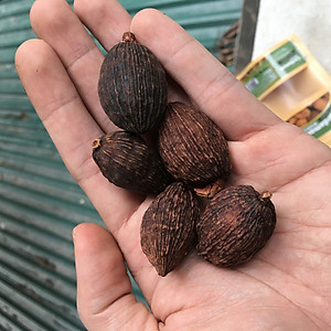 Thảo Quả Doispice đặc sản Lào Cai 30g