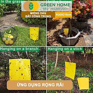 Bộ 10 Miếng Dán Bẫy Côn Trùng GreenHome, R20xC15cm, 2 Mặt, Hiệu Quả, Tiết Kiệm Chi Phí, Dễ Sử Dụng