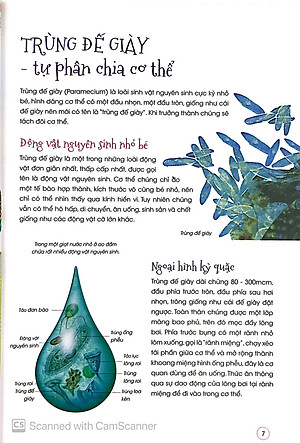 Sách Động Vật Kỳ Quặc