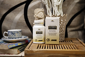 Fucoisyn (Premium Fucoidan)