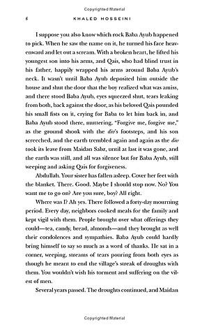 And The Mountains Echoed