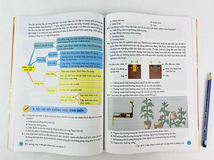 Bồi Dưỡng Học Sinh Giỏi Khoa Học Tự Nhiên 7 - Biên soạn theo chương trình GDPT mới - ndbooks