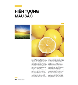 Cẩm Nang Phối Màu Phiên bản Pantone