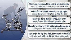 Xe đạp tập thể dục spining Airbike Sport - Hàng chính hãng