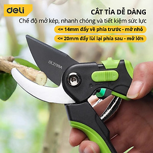 Kéo Cắt Tỉa Cành Cây Deli Chính Hãng 8inch - Lưỡi Thép Sắc Bén, Siêu Bền, Tay Cầm Đệm Cao Su An Toàn, Chắc Chắn DL580201