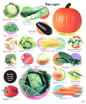 Sách Vừa Học Vừa Chơi - Từ Vựng Tiếng Anh