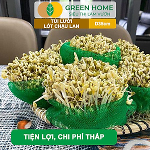 Bộ 10 Lưới Lót Chậu Lan GreenHome, D35cm, Lót Đáy Chậu, Ngăn Rơi Vãi Giá Thể, Phân Bón, Độ Bền Cao, Dễ Sử Dụng