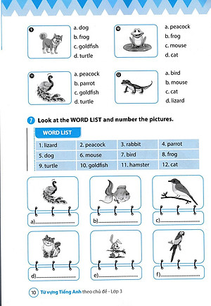 Sách Từ Vựng Tiếng Anh Theo Chủ Đề Lớp 3