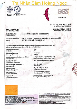 [Date xa] Trà nhân sâm hũ 100g - Hoang Ngoc Global