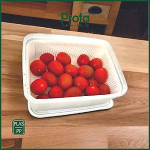 Combo 2 Hộp Thực Phẩm Prota PT961