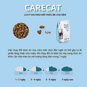 Hạt CARE CAT ALL LIFE