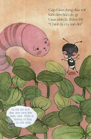 Sách Từ Những Hạt Mầm: Kiến Đen Tìm Mè