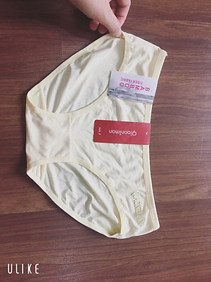 combo 10 chiếc quần lót cotton trơn co dãn tốt fom từ 45-60kg