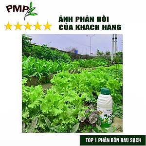 Combo 2 Chai Phân SOYMIC V PMP Siêu Phân Bón Ủ Vi Sinh Từ Đậu Nành, Trứng, Chuối, Humic, Vi Lượng Cho Rau Sạch