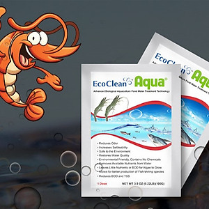 EcoClean Aqua - Men Vi Sinh Xử Lý Nước Ao Nuôi Tôm, Cá - Gói 100g