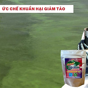 Men vi sinh phân hủy đáy, làm trong nước, xử lý nước, ức chế tảo, xử lý nhớt bạt, hạ khí độc Haki Bio Sun đậm đặc gói 250gr dùng 2000 khối nước - hàng chính hãng
