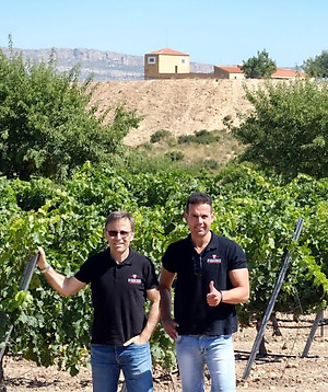 Rượu vang Organic Piqueras VS Monastrell & Garnacha Tintorera (Spain) kèm túi hộp,đồ khui