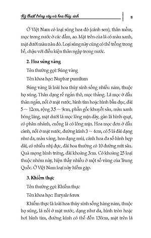 Nông Nghiệp Xanh, Sạch - Kỹ Thuật Trồng Cây Và Hoa Thuỷ Sinh (Tái bản)